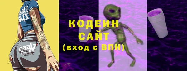 бошки Бородино