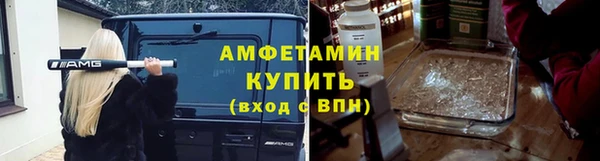 мдпв Пестово