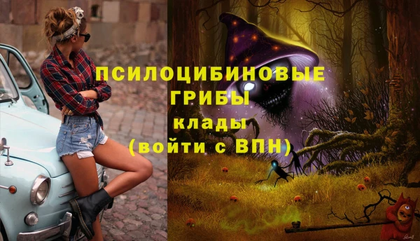 бошки Бородино