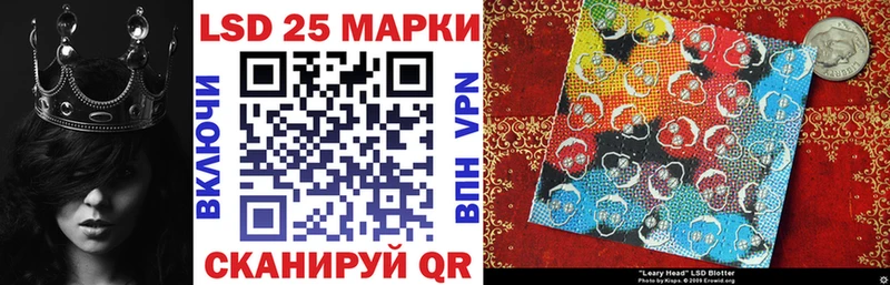 где найти наркотики  omg рабочий сайт  Марки 25I-NBOMe 1,8мг  Губкин 