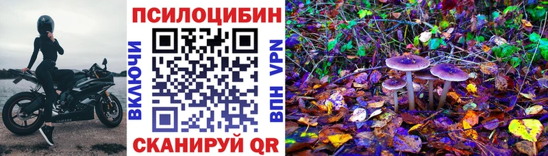 Галлюциногенные грибы GOLDEN TEACHER  даркнет сайт  Губкин 